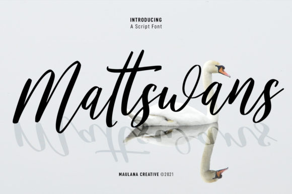Beautiful Script Font for Elegant Design