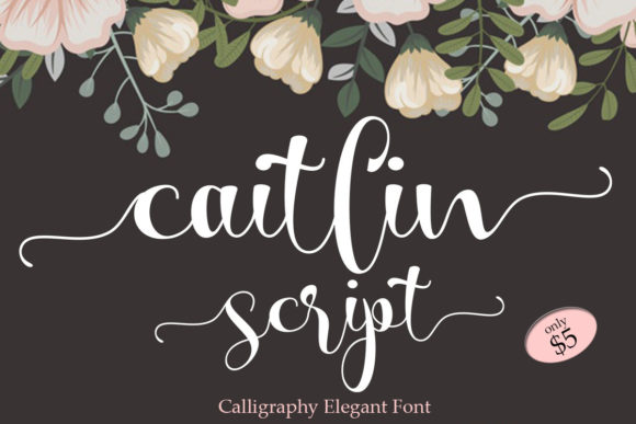 Caitlin Script Font for Web Design