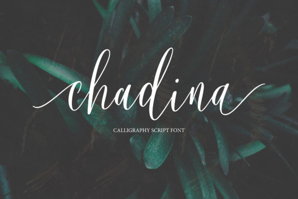 Chadina Script: A Font for Creative Campaigns