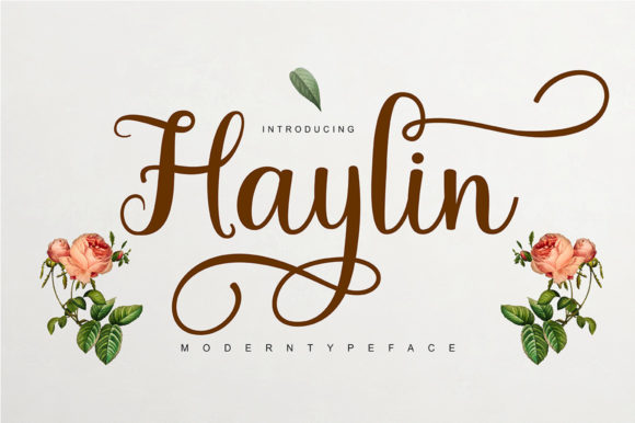 Haylin Script: Elegant Typography for Designers