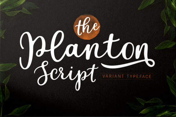 Planton Script: A Creative Font for Web Design