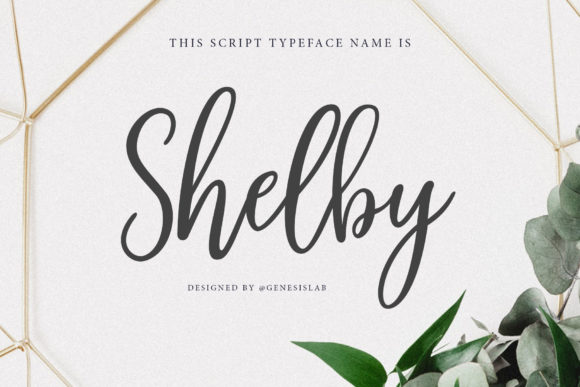 Shelby Script: A Stylish Typeface for Creative Projects