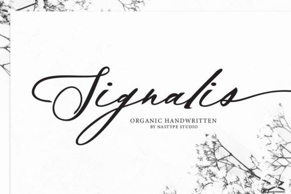 Signalis Script: A Font for Polished Branding
