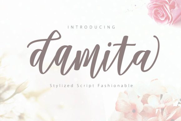 Upgrade Your Brand With Damita Script