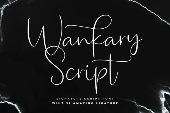 Wankary Script Font for Web Design